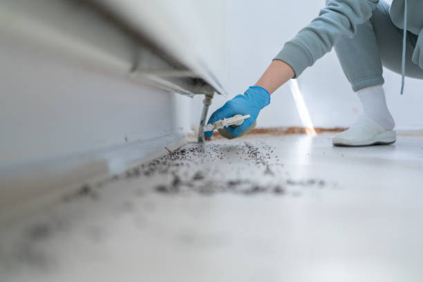 Best Best Pest Control Companies  in Rainelle, WV